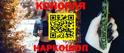 гидра Нальчик
