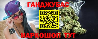 гидра Нальчик