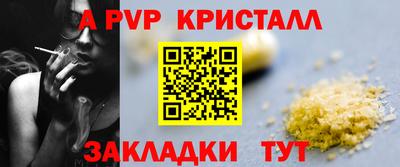 гидра Нальчик