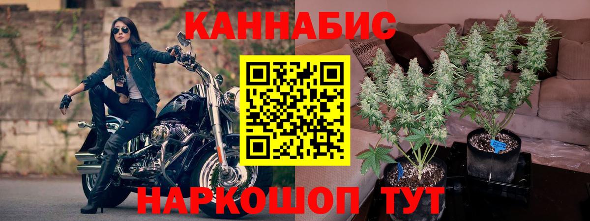 Конопля тримм  Шишки марихуана ГИДРОПОН  Бошки марихуана AK-47  Дивногорск  Конопля THC 21%  Вход с VPN 